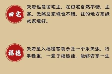 紫薇斗数698元