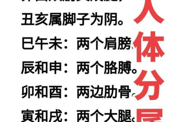 算八字命运