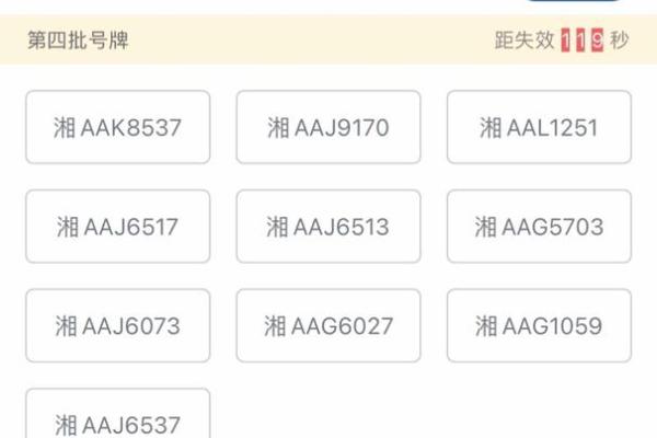 八字选车牌