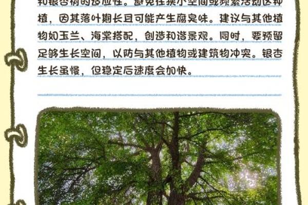 银杏树种在什么方位比较好