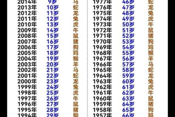 193算命网
