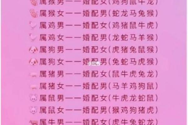 兔鼠生肖配对姻缘 兔与鼠的婚姻相配吗