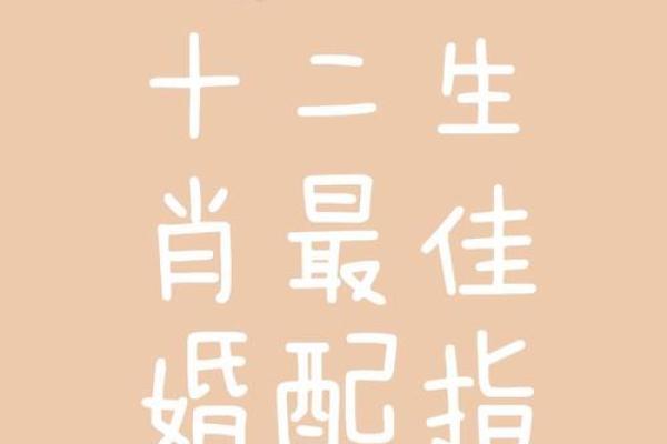 兔鼠生肖配对姻缘 兔与鼠的婚姻相配吗