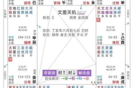 红鸾星动紫薇星开啥意思