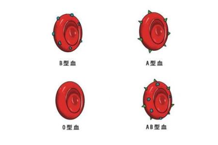 血型的拼命花钱习惯