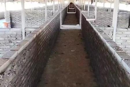 农村猪圈风水 农村猪圈风水布局