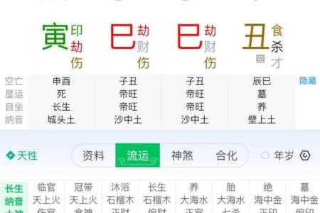 八字-论丁巳日甲辰时