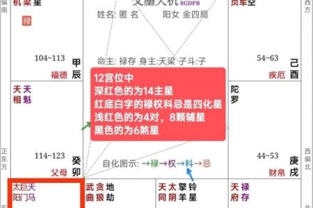 紫薇斗数星大全
