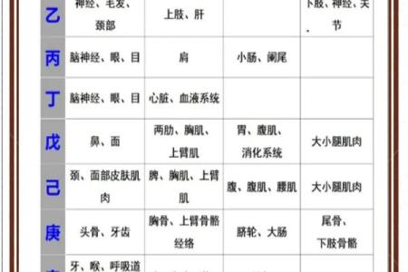八字干支查询