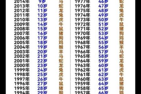 193算命网