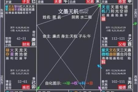 紫薇斗数农历木三局表格图
