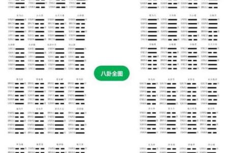 用抛硬币法算命