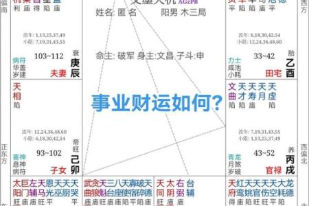 紫微斗数之：论财运