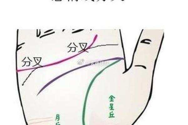 女性手掌纹算命图解婚姻