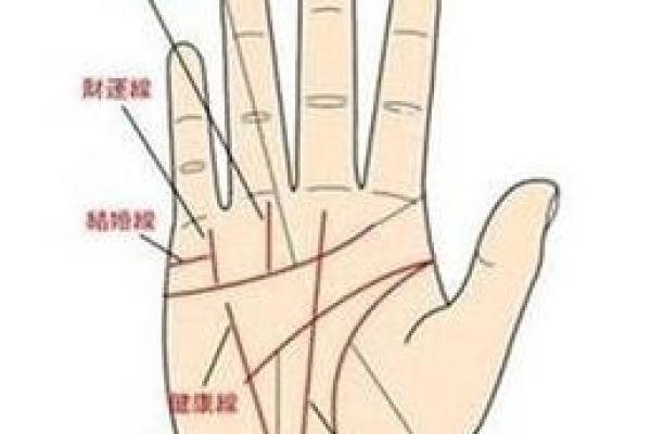 女性手掌纹算命图解婚姻