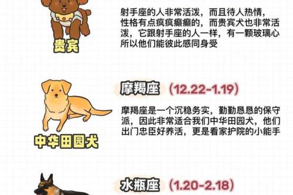 十二星座哪个最会养鱼