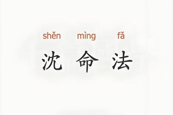 沈朝八字