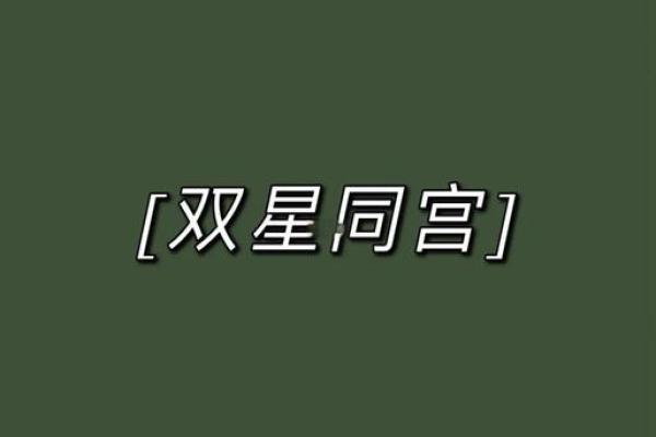 紫薇斗数双星组合