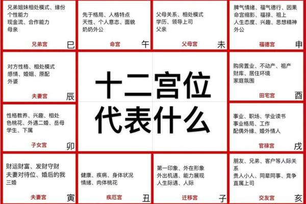 紫微斗数财帛宫破军入庙 财帛宫 破军？