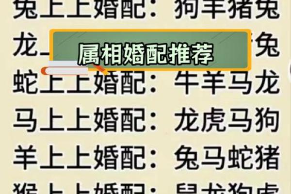 属相羊配对姻缘 属相羊婚配属相最好？