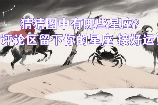 哪些星座是闷葫芦星座