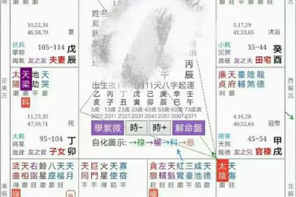 紫微斗数财政 紫微斗数里面的财星？