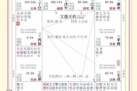 紫微斗数诸星落命宫之：天机星详解