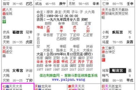紫微斗数排盘解析,紫微十四主星七杀星