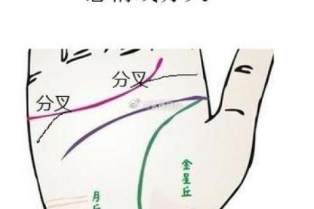 女性手掌纹算命图解婚姻