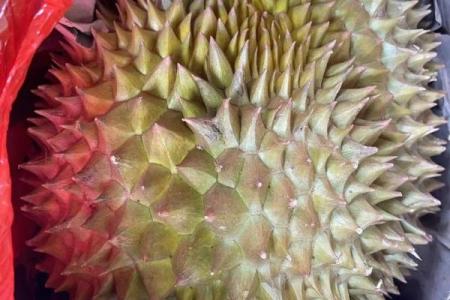 供奉财神爷的水果用榴莲可以吗