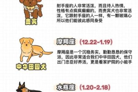 狗年运势旺到爆的星座