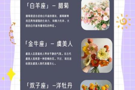 十二星座的专属花都有哪些呢