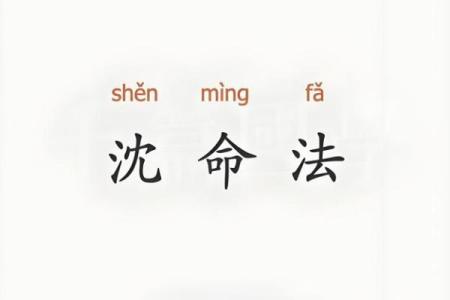 沈朝八字