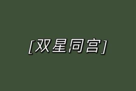 紫薇斗数双星组合