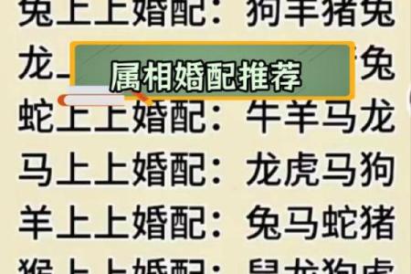 属相羊配对姻缘 属相羊婚配属相最好？