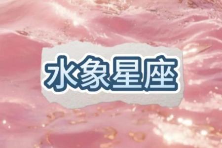 属狗巨蟹座男与属猪双鱼女配对合适吗