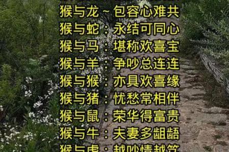 羊跟猴婚姻相配吗 羊和猴配对是否合适