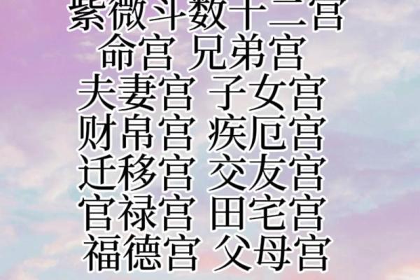 紫薇斗数星宫图