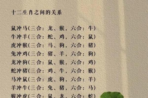 配对要谨慎的生肖组合