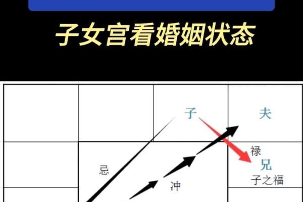 紫薇斗数导语