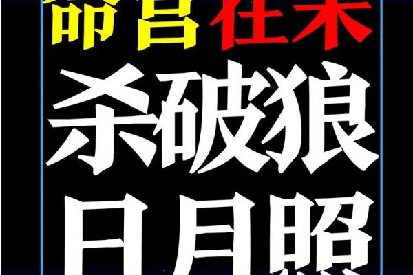 紫薇斗数三方是杀破狼