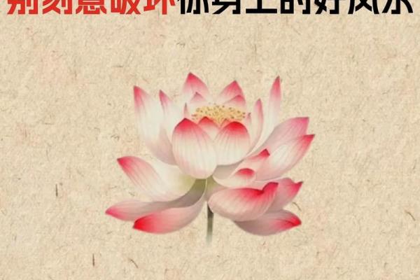 玄学风水_玄学里的血刃是什么意思