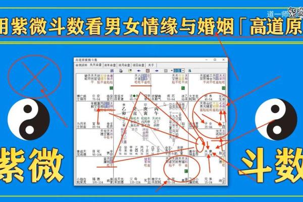 紫薇斗数婚姻配对