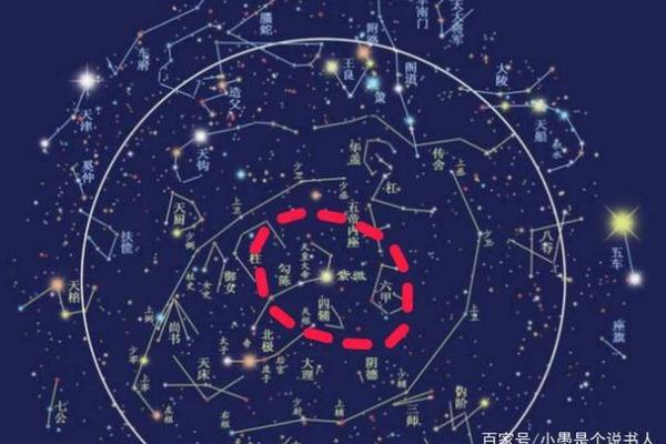 紫薇斗数紫微星位置咋确定