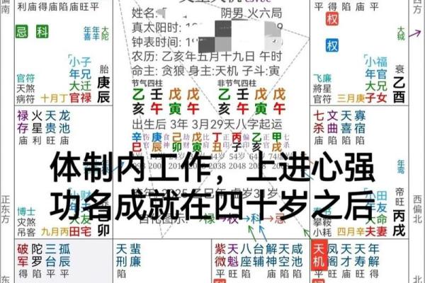 紫薇斗数先天命盘和大运命盘什么意思