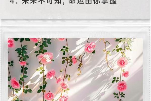命运树算命