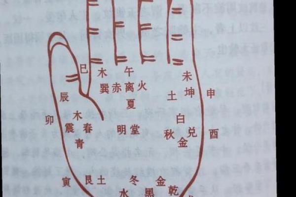 凯帝阿手相算命图解大全04