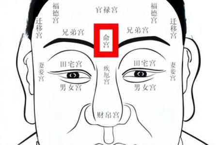 眉毛算命
