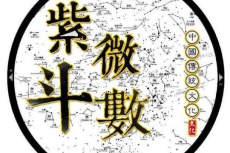 崇祯紫薇斗数