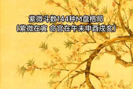 朱元璋紫薇盘斗数